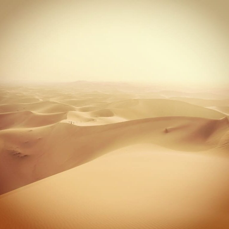 WhatsApp Image 2025-11-25 at 16.45.51